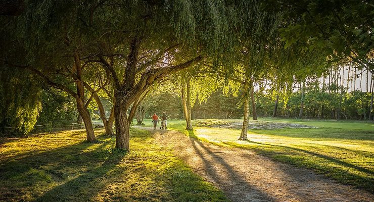 Through to the fairway at Archachon Golf Club, Bordeaux, south-west France