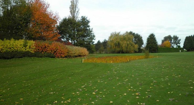 Autumn colours at Le Havre golf club, Normandy, France