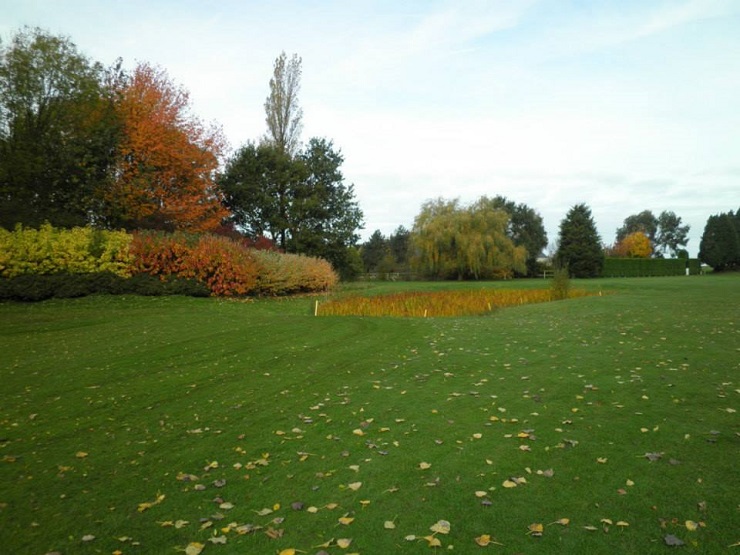 Autumn colours at Le Havre golf club, Normandy, France