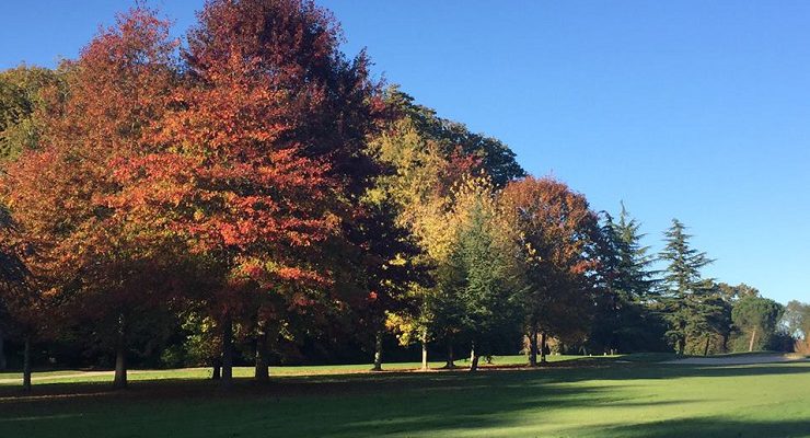 Autumnal colours at La Bretesche Golf Club, Brittany, France