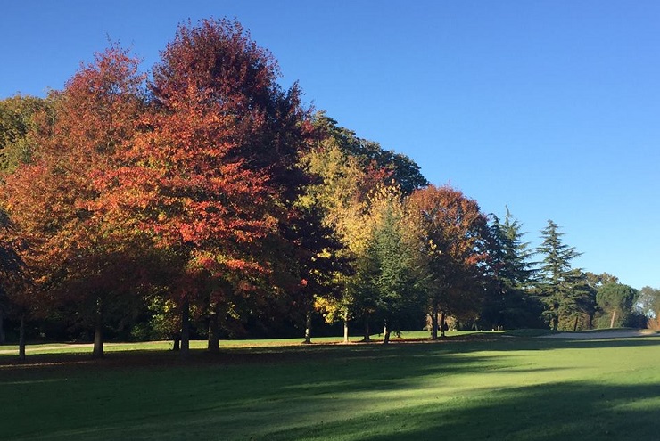 Autumnal colours at La Bretesche Golf Club, Brittany, France