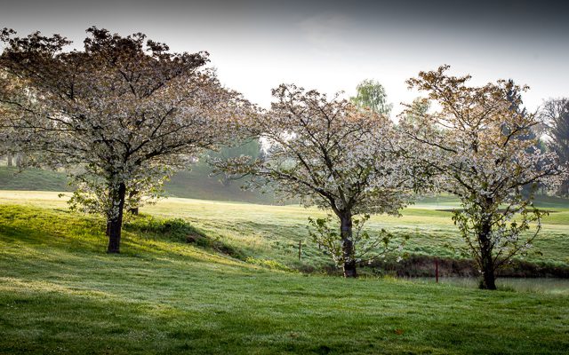 Springtime at Cely Golf Club near Paris, France
