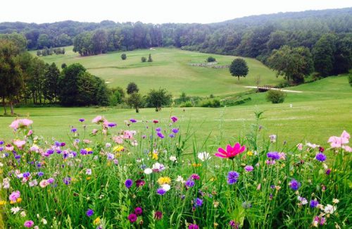 Enjoy the scenery at Champagne Golf Club in France