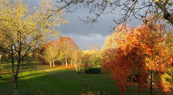 Autumn colours at Bordeaux Lac Golf Club, close to the city in south west France