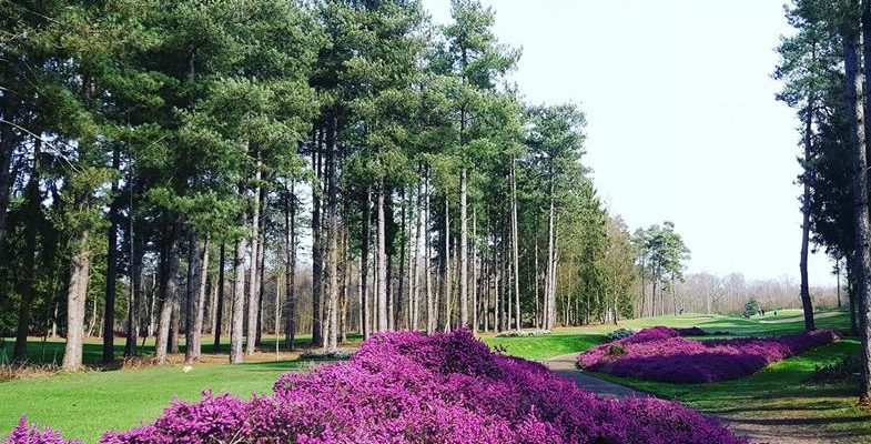 Beautiful surroundings at Champ de Bataille Golf Club, Normandy, France
