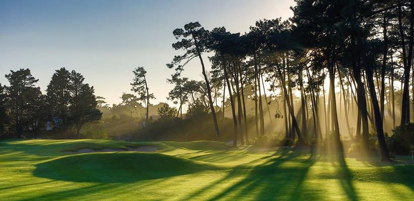 Sunshine through the trees at Chiberta golf course, Biarritz, France