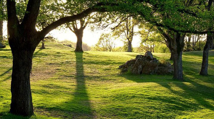 Enjoy the scenery at Bauge Pontigne Golf Club, near Angers, Loire, France