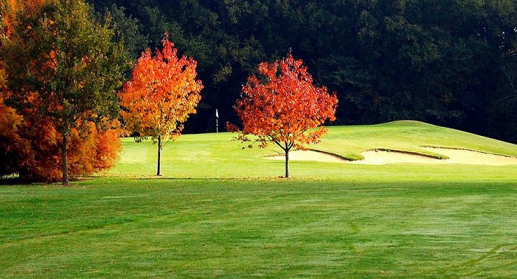 Autumnal scene at Anjou Golf Club, near Angers, Loire, France