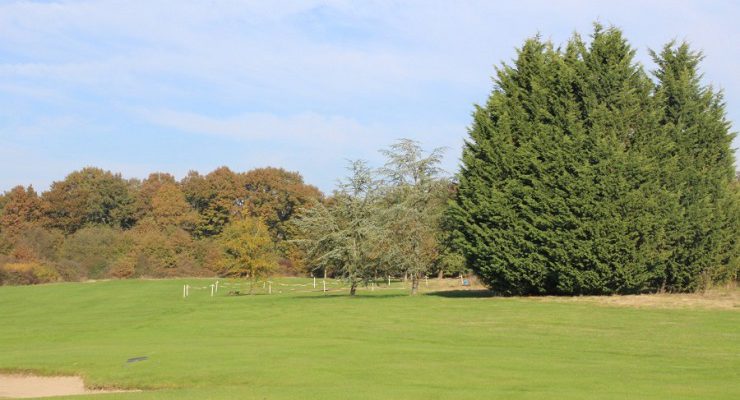 Calm reigns at Chateau d'Avoise Golf Club, near Beaune, France