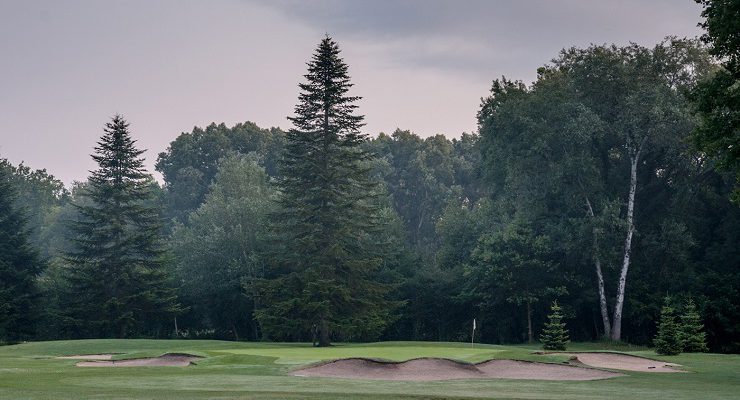 Mature background to Lyon Golf Club, Villette d'Anthon, France