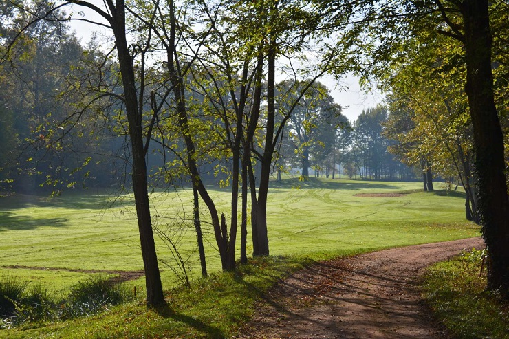 Beautiful woodland at Domaine de Roncemay Golf Course, France
