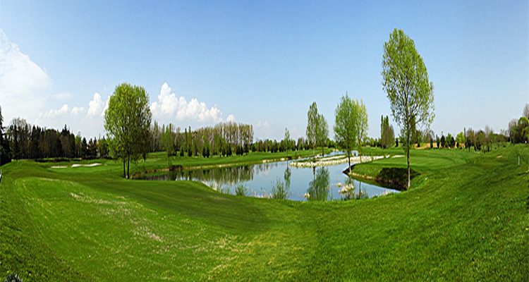 Mature trees at Beaune Levernois Golf Club, Burgundy, France