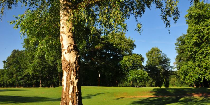 Towards the green at Orleans Donnery Golf Club, The Loire France