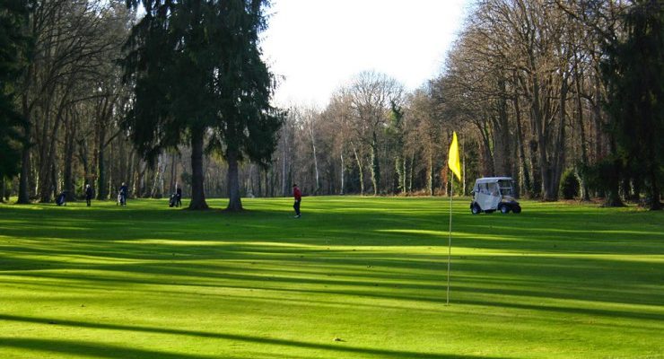 Mature trees at International Club dy Lys Golf Club, Chantilly, France