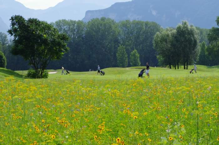 Summer time at Grenoble Charmeil Golf Club, France.