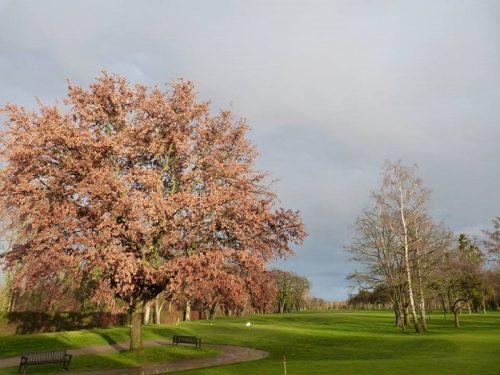 Strasbourg Golf Club, Strasbourg — photo 1