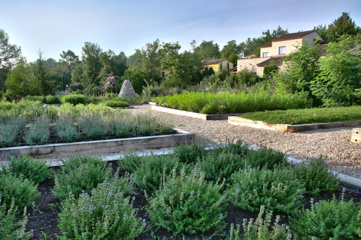 The herb garden at Terre Blanche Hotel and Golf Resort, Provence, France