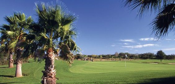 Palm trees at Cap d'Agde Golf Club, south of France. Golf Planet Holidays