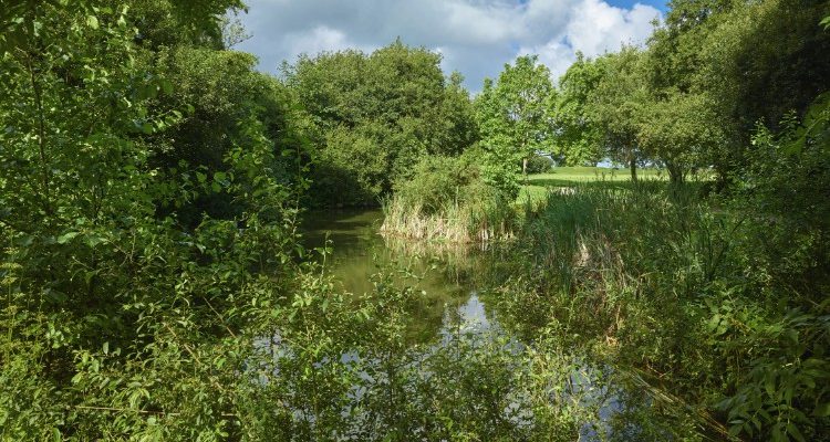 Water on the course at Dieppe Golf Club, Normandy, France