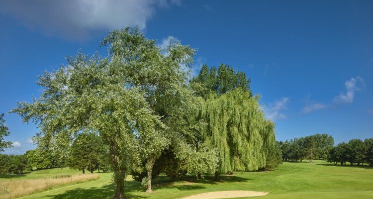 On the fairway at Dieppe Golf Club, Normandy, France