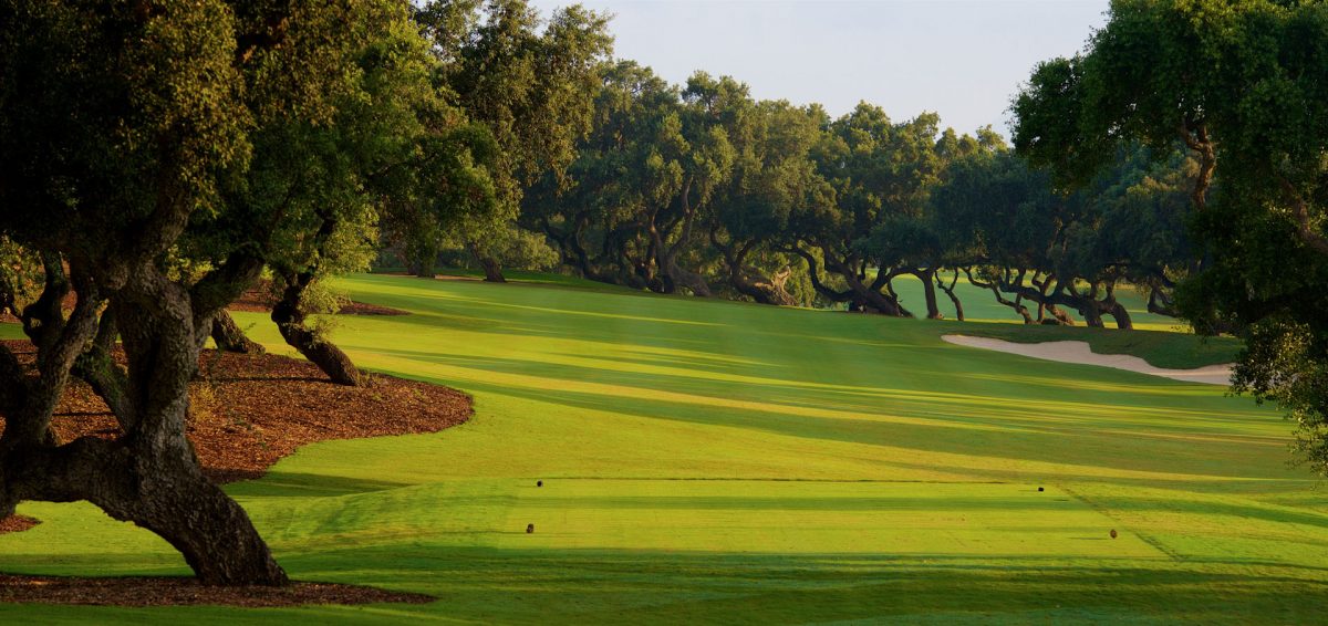 Real Club de Golf de Sotogrande Golf Course