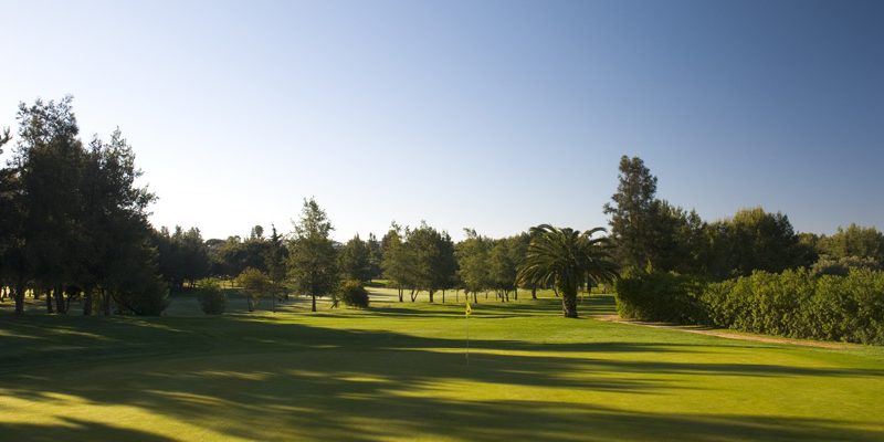 Pestana Alto Golf Course-8180