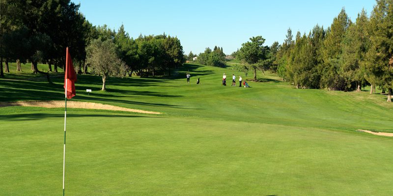 Pestana Alto Golf Course-8183