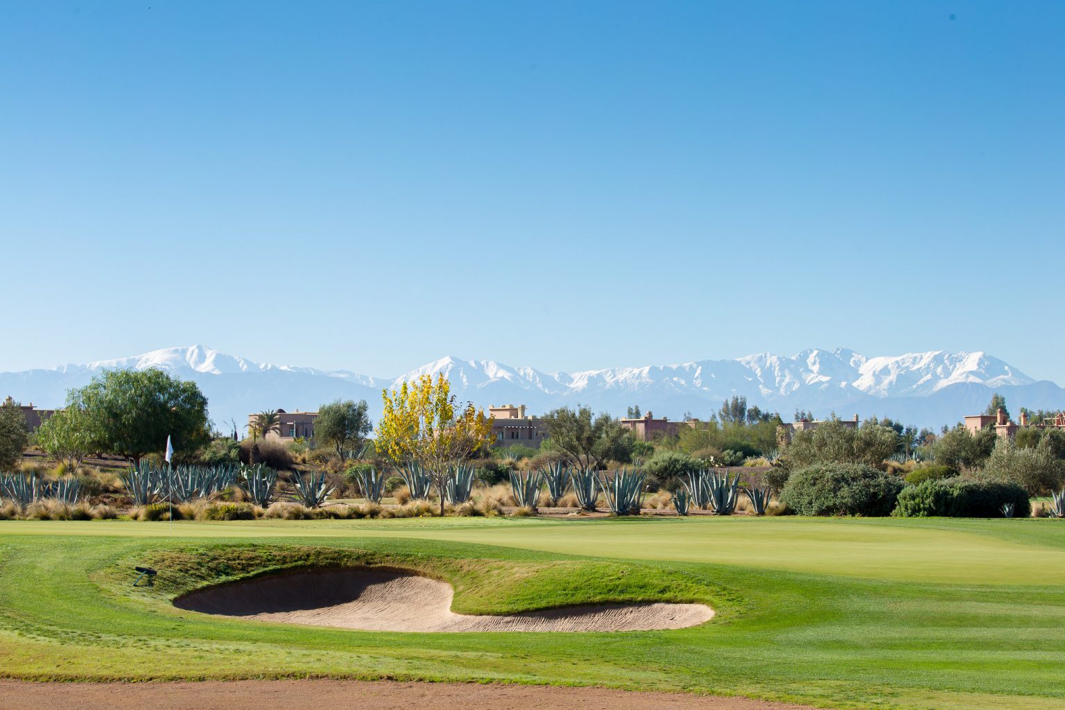 Samanah Golf Course-15966
