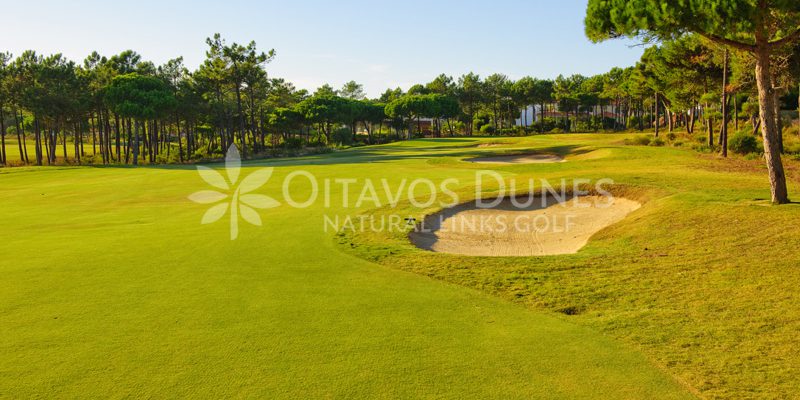 Oitavos Golf Course-8841