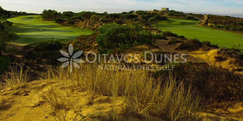 Oitavos Golf Course-8838