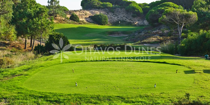 Oitavos Golf Course-8834
