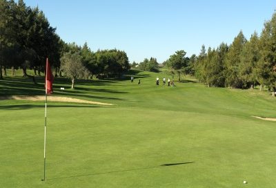 Pestana Alto Golf Course-8179