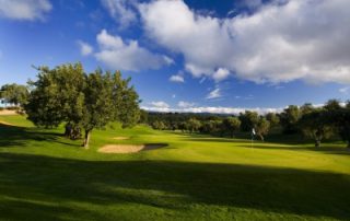 Pestana Vale da Pinta Golf Course-8189