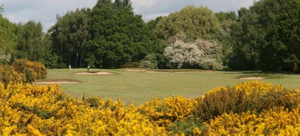 Beautiful woodland at Fulford Golf Course, York. Yorkshire, England. Golf Planet Holidays