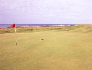 Dunbar Golf Course-12487