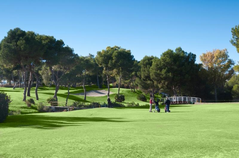 On the golf course at Villamartin, Alicante, Spain
