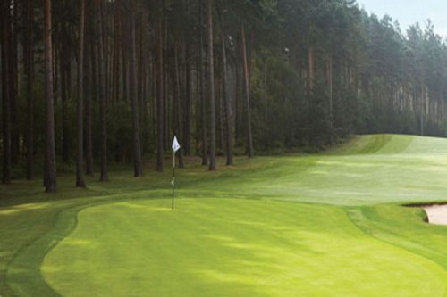 Tree-lined fairways at Woburn - The Marquess' Golf Course-Milton Keynes, England. Golf Planet Holidays