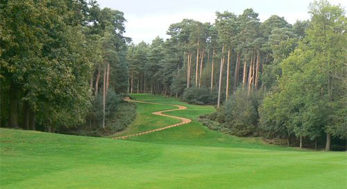 Tree-lined fairways at Woburn - The Duchess' Golf Course-Milton Keynes, England. Golf Planet Holidays