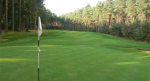 Tree-lined fairways at Woburn - The Duchess' Golf Course-Milton Keynes, England. Golf Planet Holidays