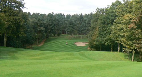 Tree-lined fairways at Woburn - The Duchess' Golf Course-Milton Keynes, England. Golf Planet Holidays