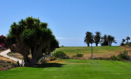 On the tee at Amarilla Golf Course, Tenerife