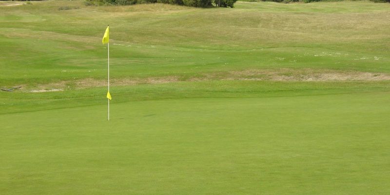 On the green at Royal Zoute Golf Club, near Bruges, Belgium