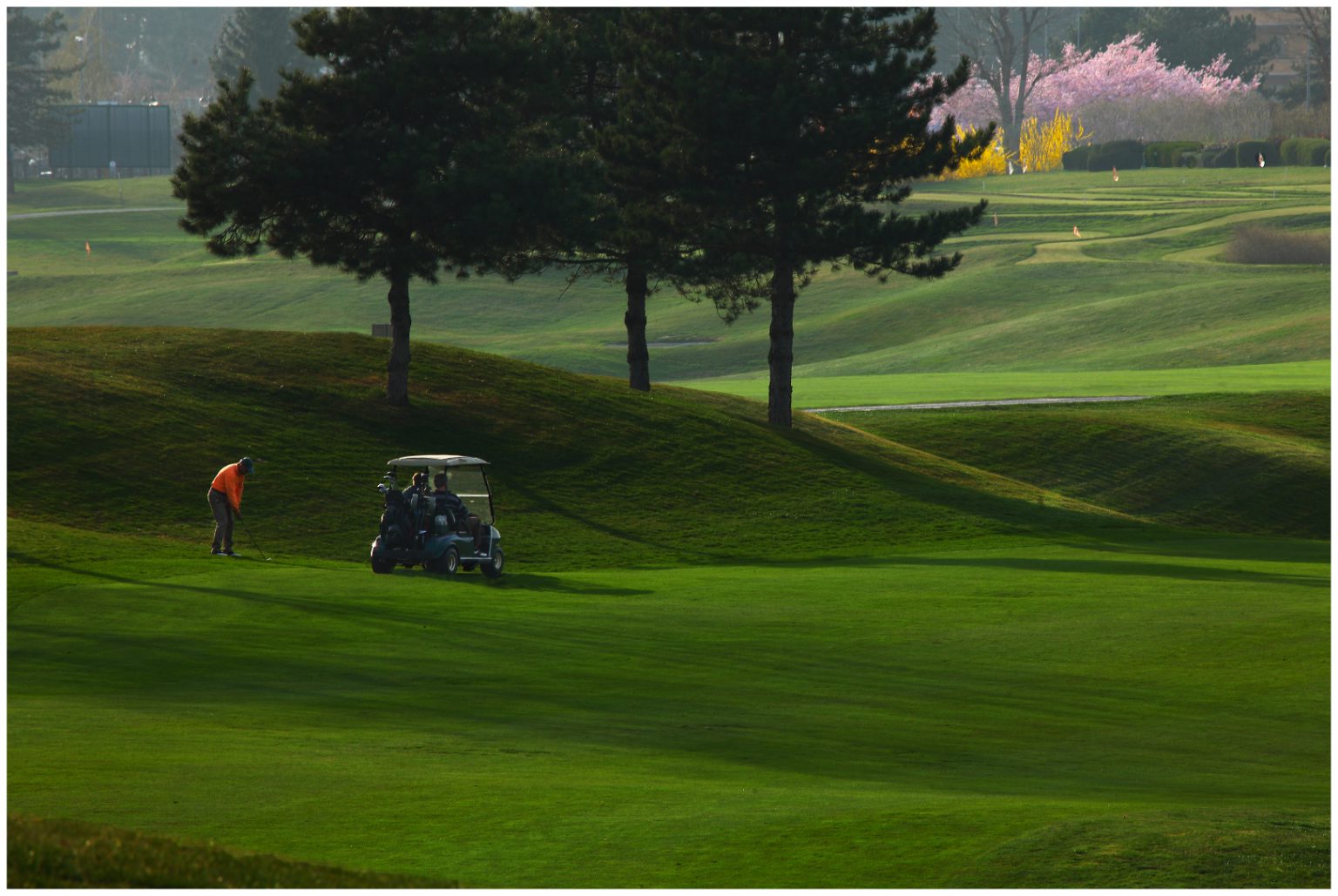 Le Robinie Golf Course-10130