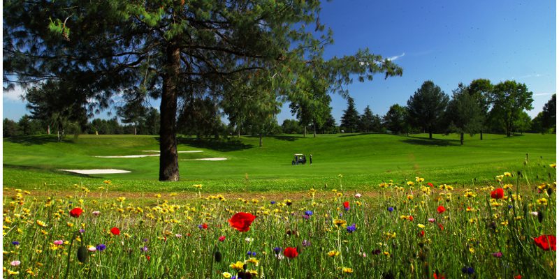 Le Robinie Golf Resort-10112