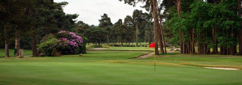 Ferndown Golf Club, Dorset — photo 5