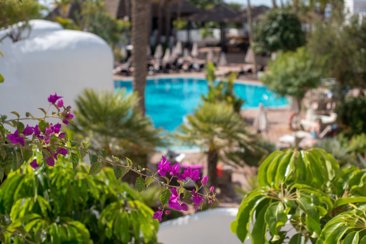 Luscious gardens by the pool at Hotel Dreams Jardin Tropical, Tenerife