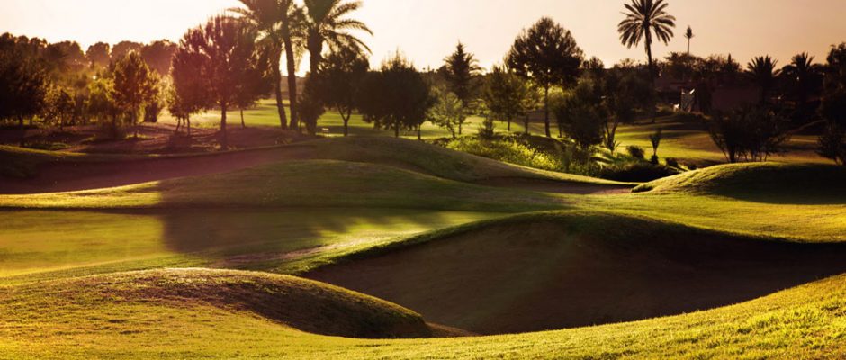 Glorious trees on the Amelkis Golf Club, Marrakech, Morocco