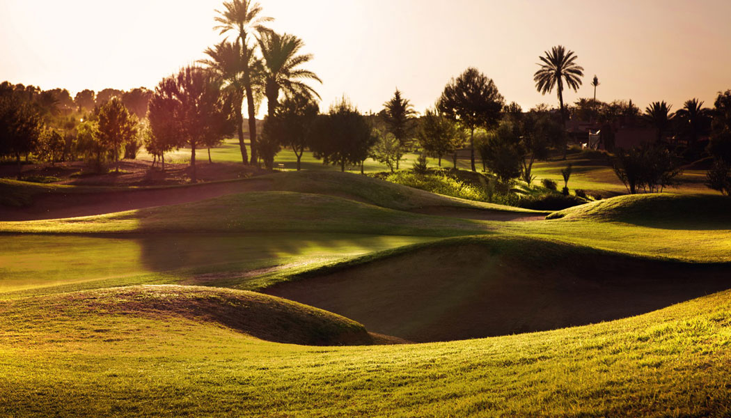 Glorious trees on the Amelkis Golf Club, Marrakech, Morocco