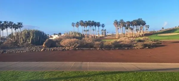 Palm trees line the fairways at Golf del Sur, Tenerife. Golf Planet Holidays.
