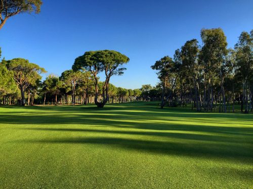 Tree-lined fairways at Kaya Palazzo Golf Course, Belek, Turkey